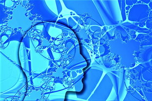 开云体育app-中国足球未来发展规划不明朗，中国足球发展方向  第3张